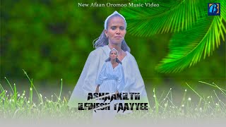 Ilfinesh Taayyee Ashaakiltii New Oromo Music Official 2023 [upl. by Ainsworth]