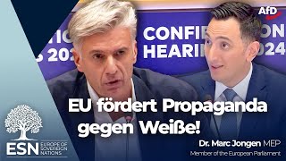 EU fördert Propaganda gegen Weiße [upl. by Attenyw]