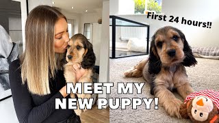 PICKING UP MY NEW COCKER SPANIEL PUPPY FIRST 24 HOURS  vlog [upl. by Selry]