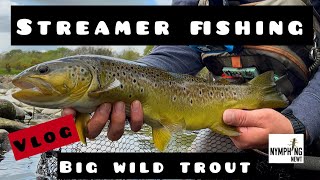 STREAMER FISHING FOR TROUT UK fly fishing uk rivers big wild trout fishing [upl. by Anait]