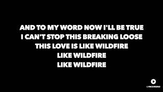 Seafret  Wildfire Lyrics [upl. by Ativoj]