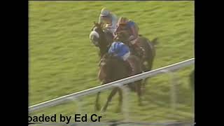 1995 Dewhurst Stakes Newmarket [upl. by Leslee]