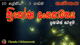 maths  grade 10  5 th lesson  ත්‍රිකෝණ අංගසාම්‍යය [upl. by Edas]