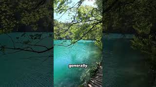 Plitvice Lakes National Park Guide [upl. by Nosduh608]