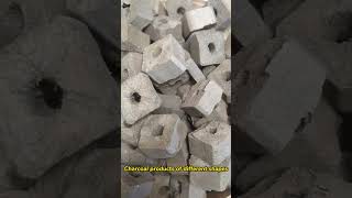 How to make charcoal from waste biomass Charcoal products of different shapes [upl. by Yeltnarb763]