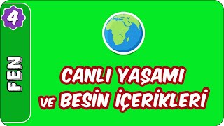 Canlı Yaşamı ve Besin İçerikleri  4 Sınıf Fen evokul Kampı [upl. by Gottlieb]