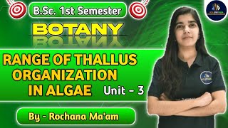 Range of Thallus Organization in Algae BSc 1st SemThallus Organization in Algae in hindi NEP2020 [upl. by Amadis]