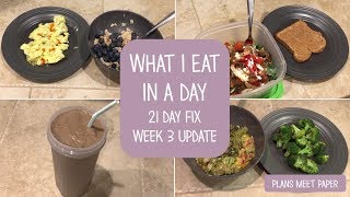 What I Eat in a Day  Healthy  21 Day Fix [upl. by Cirde]