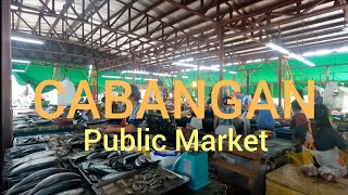 CABANGAN PUBLIC MARKET  CABANGAN ZAMBALES  ferdiesTRAVELvlog [upl. by Lais]