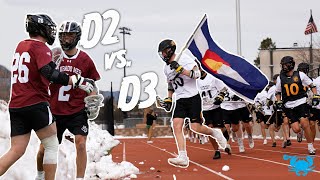 D3 vs D2 Highlights Colorado College vs Colorado Mesa [upl. by Maharba21]