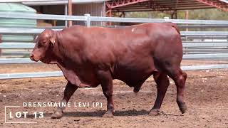 Lot 13 DRENSMAINE LEVI P [upl. by Rip]