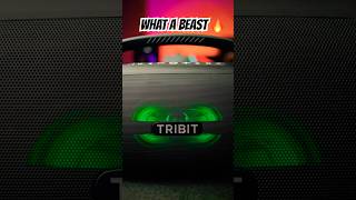 Tribit StormBox Blast 2 SOUND TESTSCARY GOOD 🔥 [upl. by Taryne289]