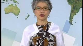 SBS News  Lee Lin Chin blooper quotWho is that handsomequot [upl. by Bouley107]