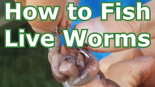 How to Fish with Live Worms Setup  Hooking Tips  Lakes Rivers Creeks Ponds [upl. by Servetnick]