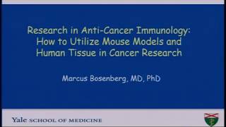 Research in AntiCancer Immunology How to Utilize Mouse Models and Human Tissue in Cancer Research [upl. by Ahseki]