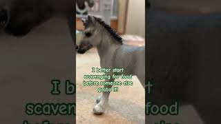 😂😂 schleich horses unboxing schleichhorses models modelhorses horse [upl. by Lan344]