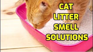 What Is The Best Cat Litter To Use For Odor Control [upl. by Dikmen]