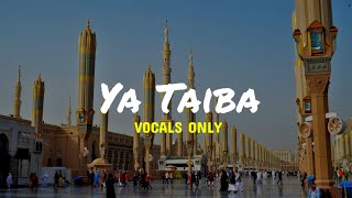 Ya Taiba  Ahmad Hussain  Vocals Only [upl. by Shiekh883]