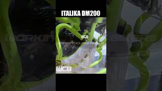 Italika DM200 🇲🇽 motos dobleproposito dm200 [upl. by Fabiano]