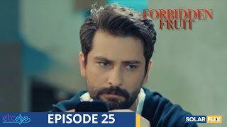 Forbidden Fruit Episode 25  FULL EPISODE  TAGALOG DUB  Turkish Drama [upl. by Mor366]