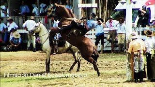 Jineteadas Patria Gaucha 2017 [upl. by Nottus823]