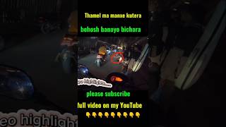 🔥Thamel ma manxe kutera behosh banayo viralsong motovlog pathaorider viralvideo viralvideos [upl. by Alva]