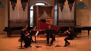 Jan Dismas Zelenka  Trio Sonata No 5 in F Major ZWV181 for 2 Oboes Bassoon and Continuo [upl. by Gathers]