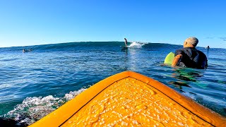 Surfing Early Morning DIAMONDHEAD  Smooth Glassy Waves  RAW POV [upl. by Ahsauqram832]