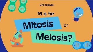 The Mitosis amp Meiosis cellcycle ytshorts neet biologyeducation [upl. by Marja]