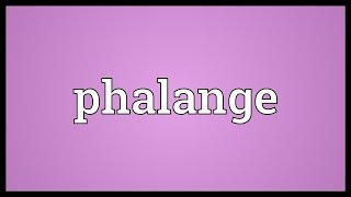 Phalange Meaning [upl. by Alrick]