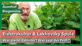 Elektrokultur mit Lakhovsky Spule  Was steckt dahinter  Auenhof  Rundgang 2  2023 [upl. by Atinehs]