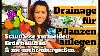 Drainage für Pflanzen legen Staunässe vermeiden Erde belüften amp nie mehr Übergießen Topf amp Kübel [upl. by Walke]