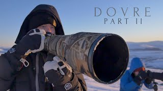 WILDLIFE PHOTOGRAPHY in MINUS 30 degrees  muskox hiking winter [upl. by Bamford]