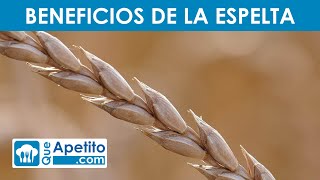 8 Propiedades y Beneficios de la ESPELTA 🌾✅  QueApetito [upl. by Emalee]