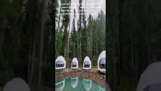 Kumrat Glamping Resort forest theme Pakistan [upl. by Gilletta280]