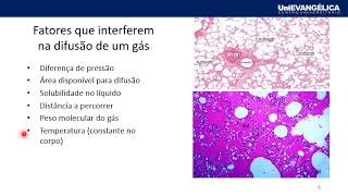 MÓDULO 1 FUNÇÕES BIOLÓGICAS Hematose e transporte de gases [upl. by Lud]