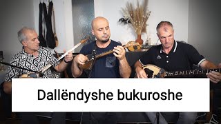 DALLENDYSHE BUKUROSHE Instrumentale Sh Kafexholli [upl. by Jeannine446]