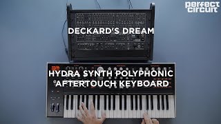 Deckards Dream Synthesizer  Expander With ASM Hydrasynth Polyphonic Aftertouch Keyboard [upl. by Wittie152]