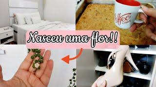 Arrumei a sapateira fiz pudim de pão e mais [upl. by Muldon]