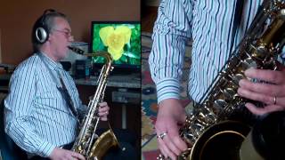 Flamingo  BampS Blue Label tenor saxophone  Vandoren Jumbo Java T97  Fibracell 3 [upl. by Llevra690]