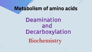 Deamination  oxidative and non oxidative Deamination  Decarboxylation Biochemistry [upl. by Ardell]