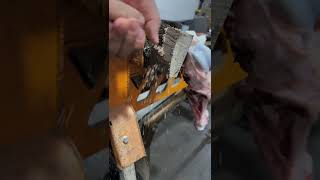 Wood vs saw blade [upl. by Taylor]