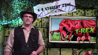 Genesis Apologetics K8 Student Zone Dinosaurs K2 Grade [upl. by Nnahaid737]