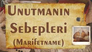 Unutmanın sebepleri Marifetname [upl. by Ahsiemac]