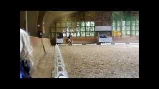 Turnier Dressurhaflinger Amani  MMDressur Altenstadt 2013 [upl. by Siramaj]