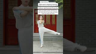 Tai chi exercise qigong taichi yoga kungfu martialarts fitness workout [upl. by Enrobso]