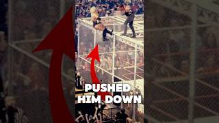 BIGGEST Hell in a Cell match [upl. by Pasia]