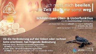 SchilddrüseÜberfunktion und –Unterfunktion Biologika Neue Medizin [upl. by Aiket]