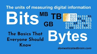 The Units of Measuring Digital Information Bits and Bytes [upl. by Noakes]