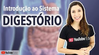 Sistema Digestório 15 Introdução Funções Órgãos e Histologia  Anatomia e etc [upl. by Ballou]